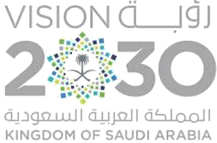 Saudi Vision 2030
